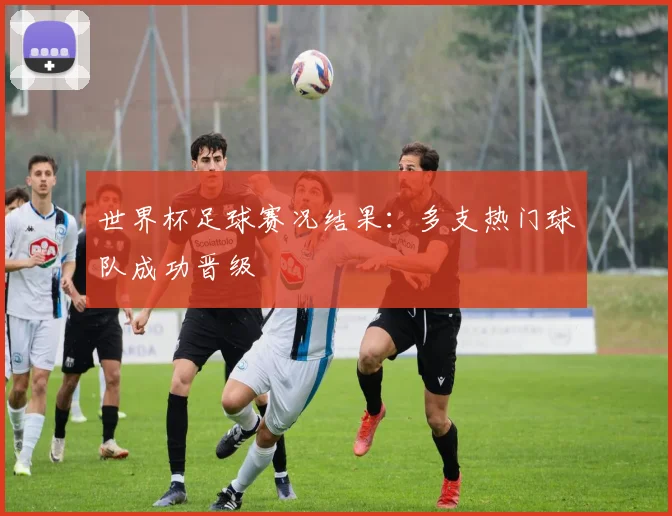 世界杯足球赛况结果：多支热门球队成功晋级